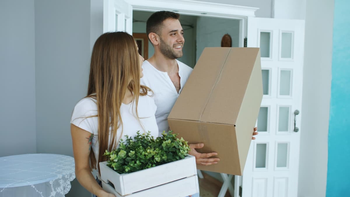 Renting & real estate